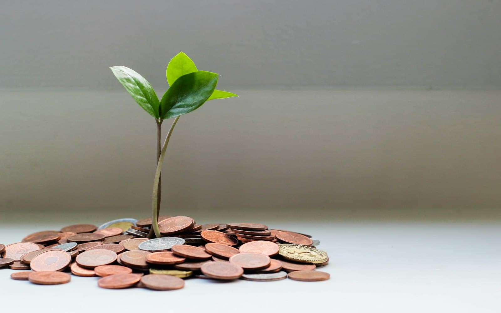 Guaranteed supplier credit turns sour
